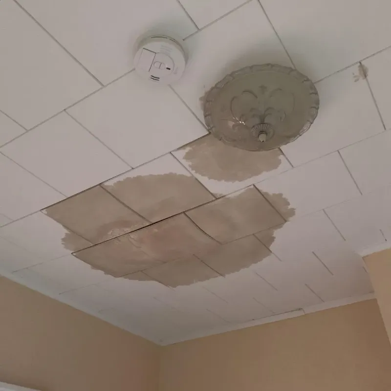 Ceiling Water Damage Repair in Portsmouth, VA