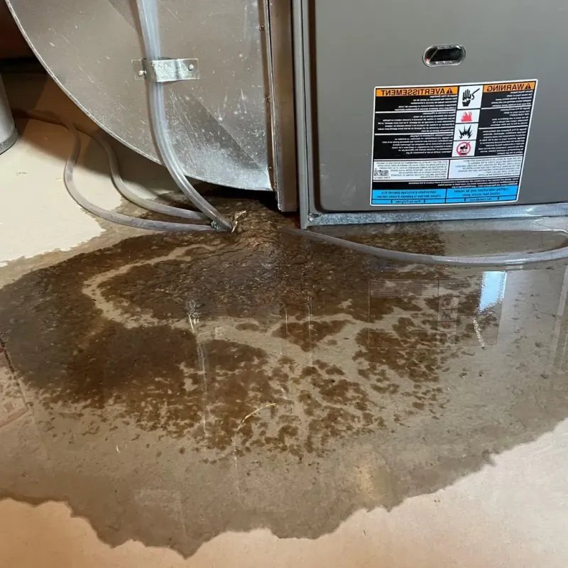 Pipe Burst and Leak Restoration in Portsmouth, VA