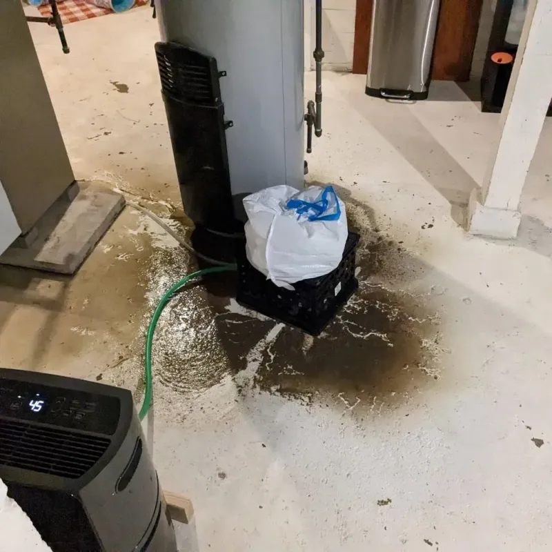 Sewage Backup Cleanup Service in Portsmouth, VA